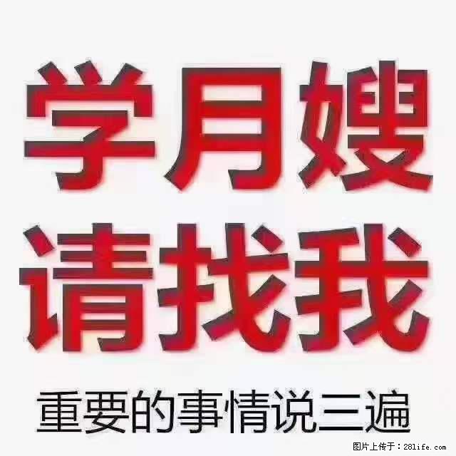 为什么要学习月嫂,育婴师? - 其他广告 - 广告专区 - 鄢陵分类信息 - 鄢陵28生活网 yanling.28life.com