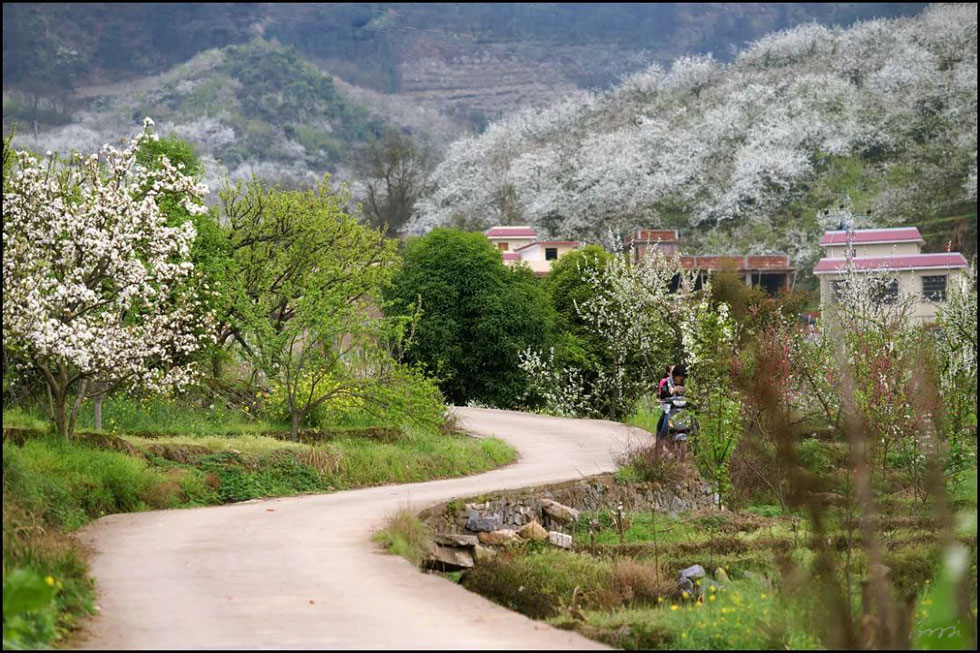 【春天,广西桂林灌阳县向您发出邀请!】我们在灌阳看梨花 - 游山玩水 - 鄢陵生活社区 - 鄢陵28生活网 yanling.28life.com