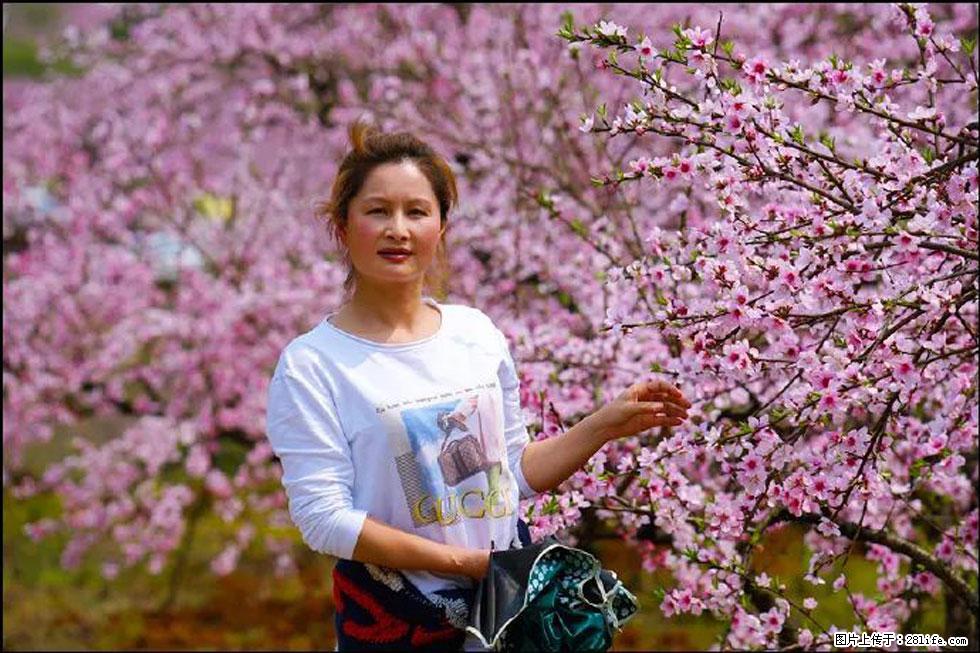 【春天，广西桂林灌阳县向您发出邀请！】官庄村有个醉美的桃花园 - 游山玩水 - 鄢陵生活社区 - 鄢陵28生活网 yanling.28life.com