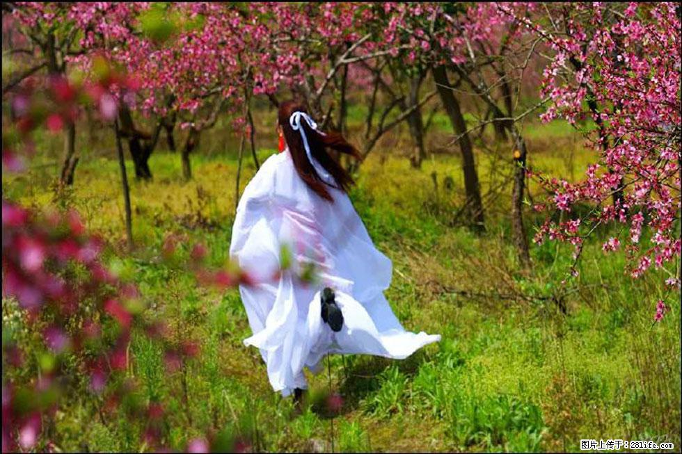 【春天，广西桂林灌阳县向您发出邀请！】官庄村有个醉美的桃花园 - 游山玩水 - 鄢陵生活社区 - 鄢陵28生活网 yanling.28life.com