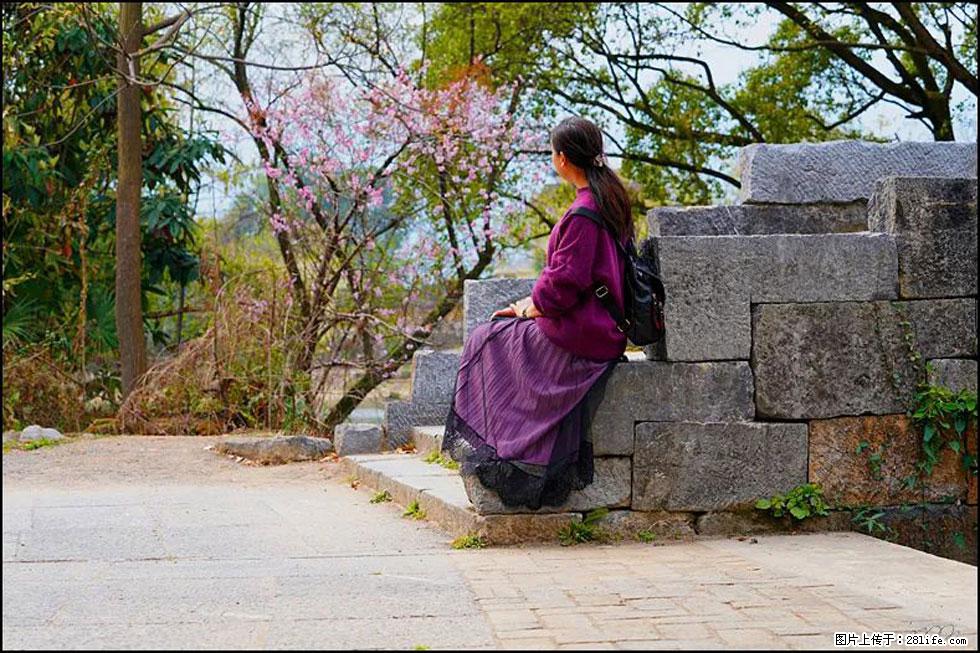 【春天，广西桂林灌阳县向您发出邀请！】江口老街又逢春 - 游山玩水 - 鄢陵生活社区 - 鄢陵28生活网 yanling.28life.com