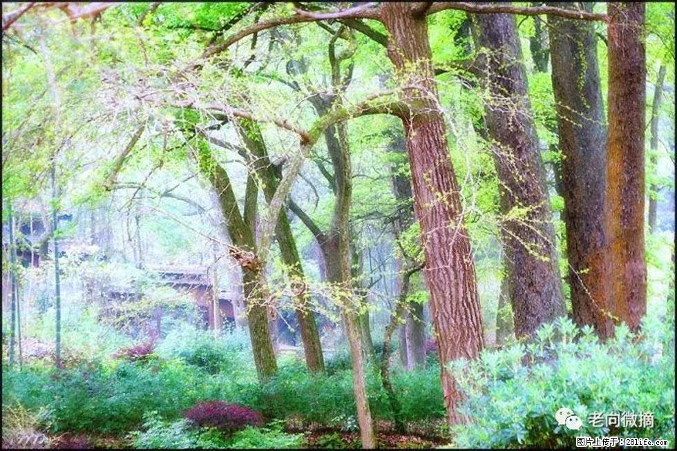 【春天,广西桂林灌阳县向您发出邀请!】在小龙村与春天约会 - 游山玩水 - 鄢陵生活社区 - 鄢陵28生活网 yanling.28life.com