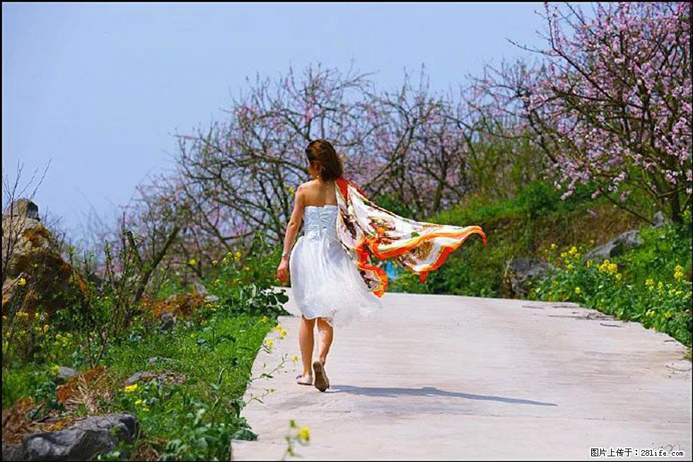 【春天,广西桂林灌阳县向您发出邀请!】望月岭上桃花开 - 游山玩水 - 鄢陵生活社区 - 鄢陵28生活网 yanling.28life.com