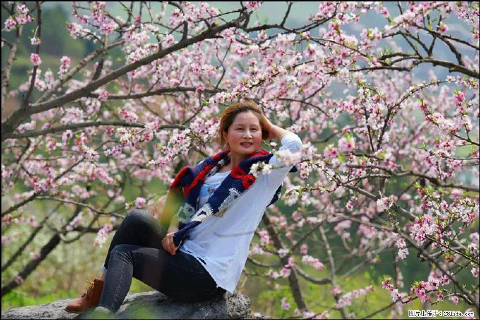 【春天,广西桂林灌阳县向您发出邀请!】望月岭上桃花开 - 游山玩水 - 鄢陵生活社区 - 鄢陵28生活网 yanling.28life.com