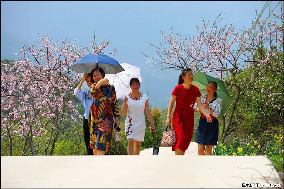 【春天,广西桂林灌阳县向您发出邀请!】望月岭上桃花开 - 游山玩水 - 鄢陵生活社区 - 鄢陵28生活网 yanling.28life.com