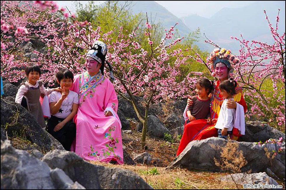 【春天,广西桂林灌阳县向您发出邀请!】望月岭上桃花开 - 游山玩水 - 鄢陵生活社区 - 鄢陵28生活网 yanling.28life.com