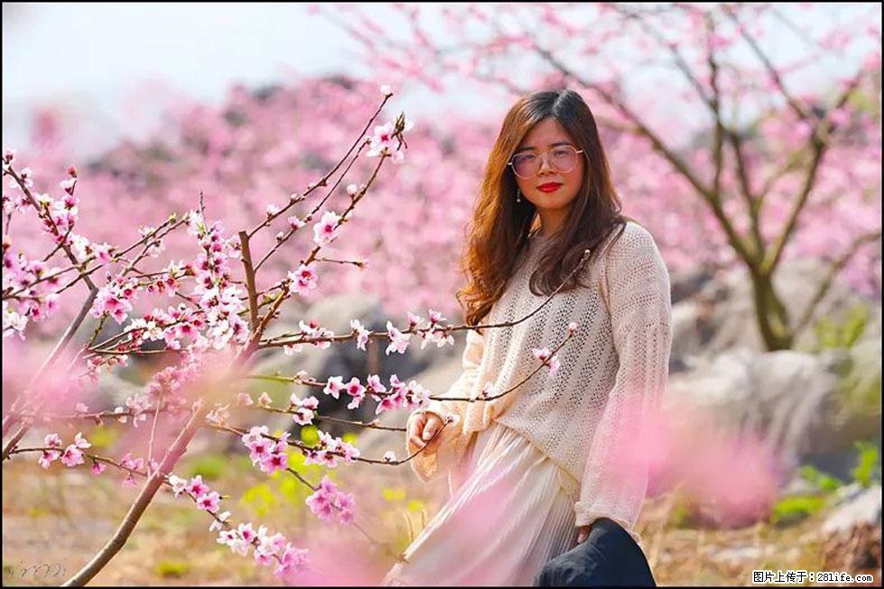 【春天,广西桂林灌阳县向您发出邀请!】望月岭上桃花开 - 游山玩水 - 鄢陵生活社区 - 鄢陵28生活网 yanling.28life.com