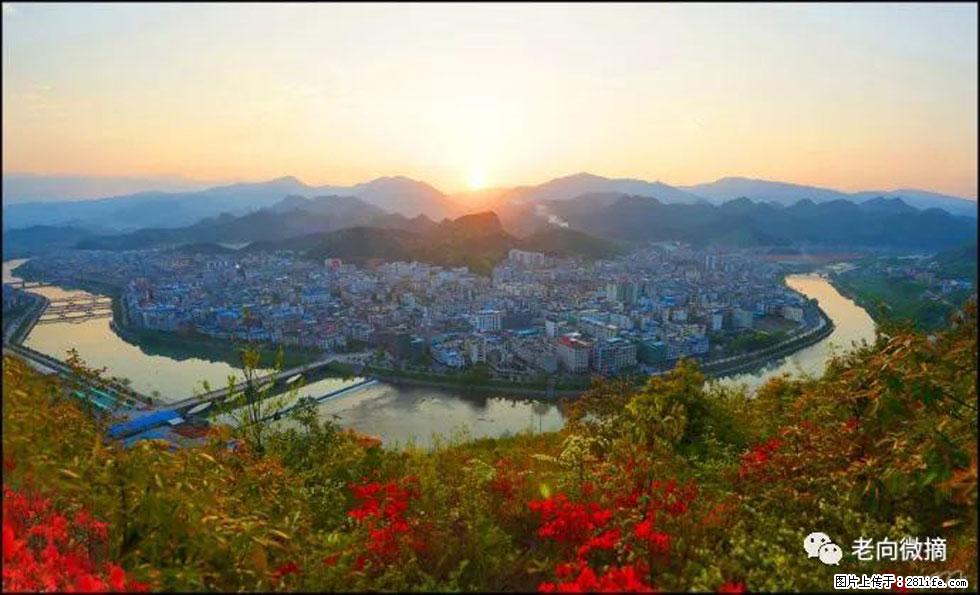 【春天,广西桂林灌阳县向您发出邀请!】登麒麟山,相约映山红 - 游山玩水 - 鄢陵生活社区 - 鄢陵28生活网 yanling.28life.com