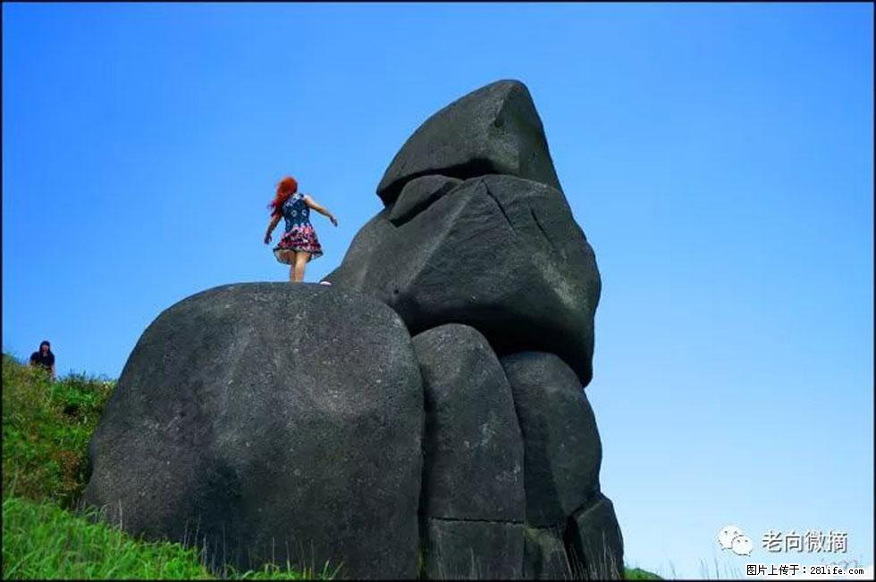 【春天,广西桂林灌阳县向您发出邀请!】宝盖山上映山红 - 游山玩水 - 鄢陵生活社区 - 鄢陵28生活网 yanling.28life.com