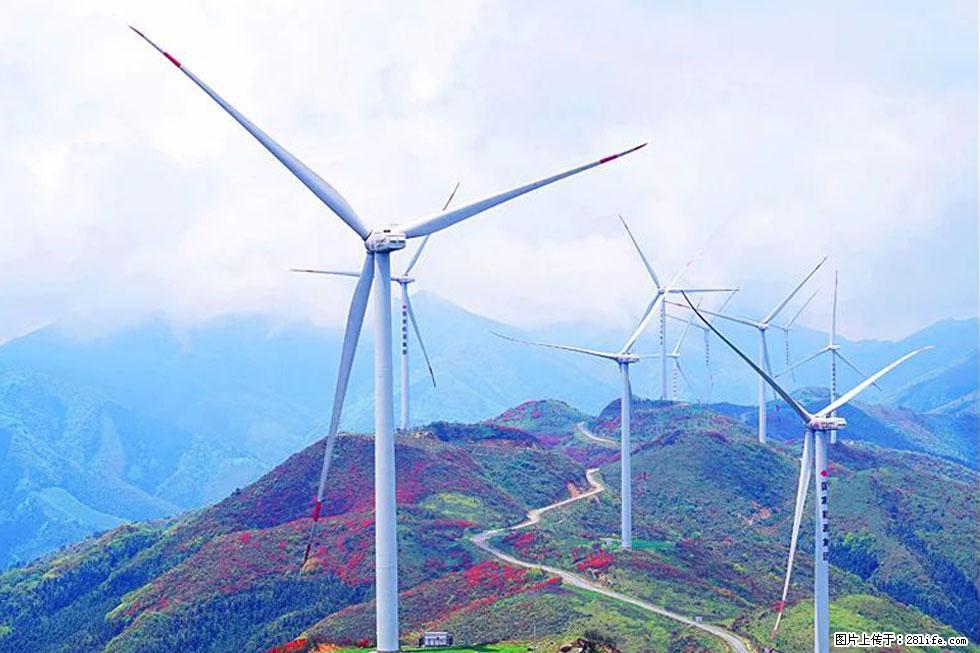 【春天,广西桂林灌阳县向您发出邀请!】春木界上映山红 - 游山玩水 - 鄢陵生活社区 - 鄢陵28生活网 yanling.28life.com