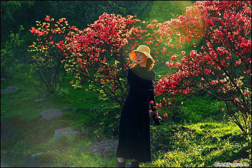 【春天,广西桂林灌阳县向您发出邀请!】春木界上映山红 - 游山玩水 - 鄢陵生活社区 - 鄢陵28生活网 yanling.28life.com