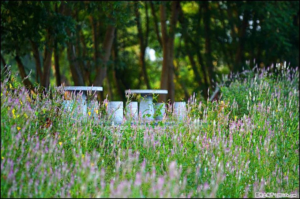 【春天,广西桂林灌阳县向您发出邀请!】熊家寨湿地公园 - 游山玩水 - 鄢陵生活社区 - 鄢陵28生活网 yanling.28life.com