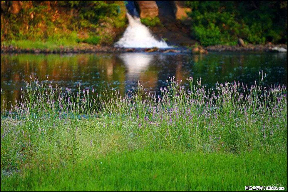 【春天,广西桂林灌阳县向您发出邀请!】熊家寨湿地公园 - 游山玩水 - 鄢陵生活社区 - 鄢陵28生活网 yanling.28life.com