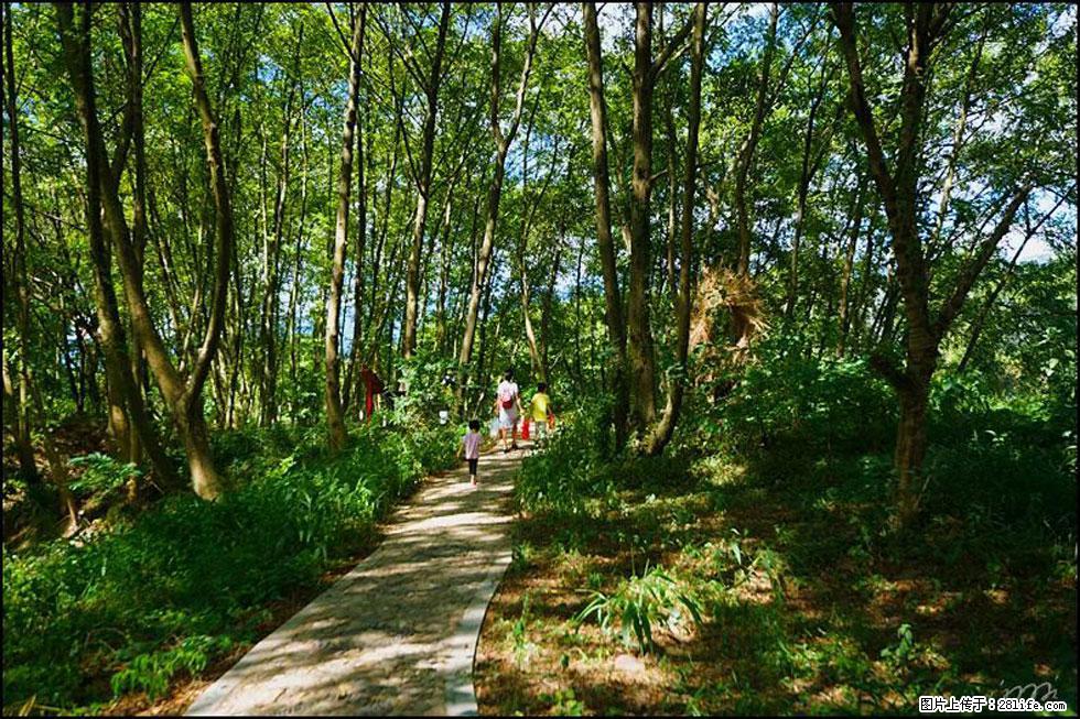 【春天,广西桂林灌阳县向您发出邀请!】熊家寨湿地公园 - 游山玩水 - 鄢陵生活社区 - 鄢陵28生活网 yanling.28life.com