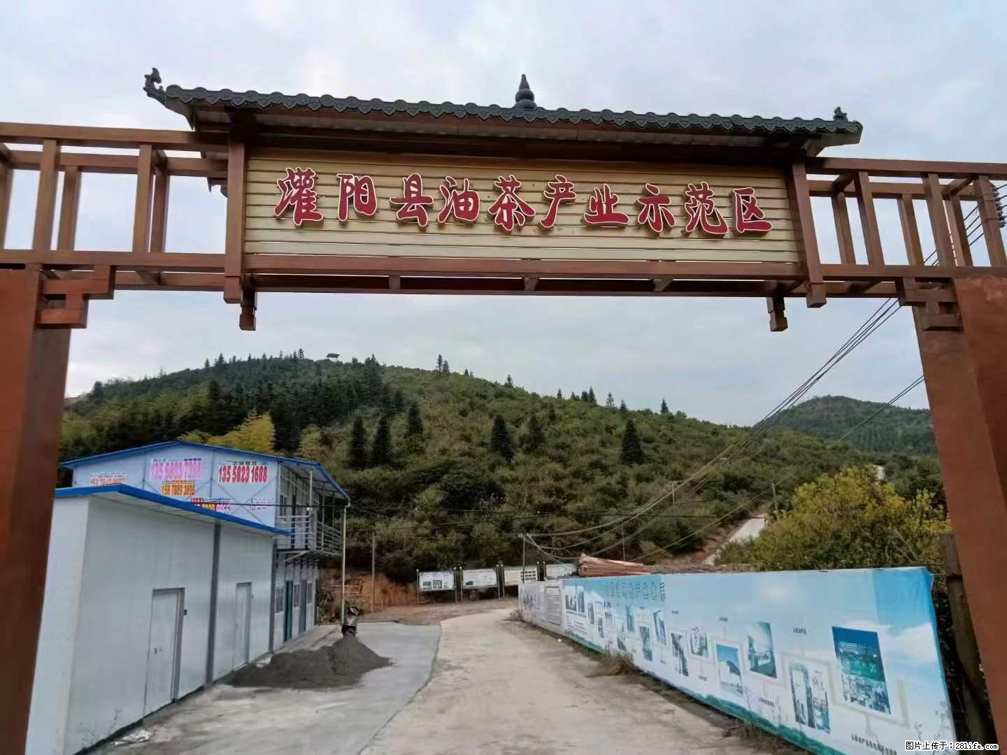 【灌阳县油茶产业示范区】一个有着充实的精神生活的人,对待身外之物自会有一种淡泊的态度 - 土特产 - 饮食特产 - 鄢陵分类信息 - 鄢陵28生活网 yanling.28life.com