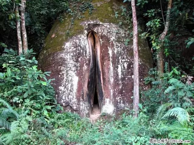 让人脸红的流氓景点，大自然真的有点色 - 灌水专区 - 鄢陵生活社区 - 鄢陵28生活网 yanling.28life.com