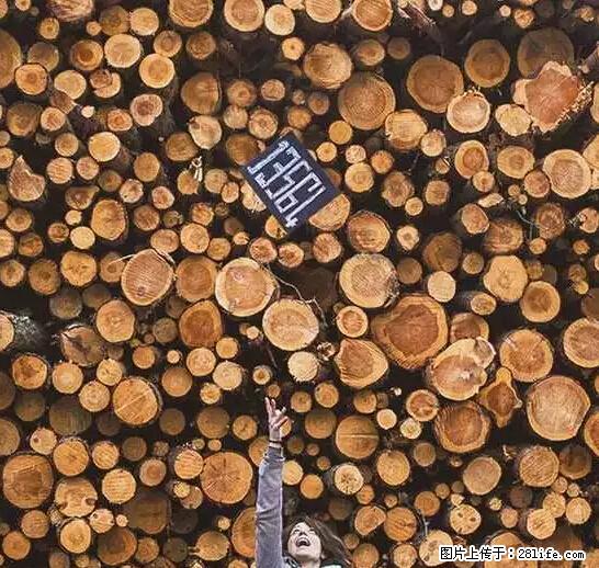 辞掉工作周游世界？现在他们在洗厕所…… - 游山玩水 - 鄢陵生活社区 - 鄢陵28生活网 yanling.28life.com