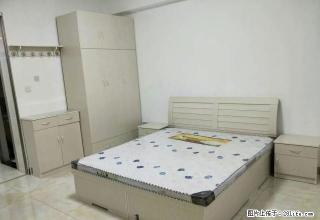 人民路西段 单身公寓 舒适 整洁 - 鄢陵28生活网 yanling.28life.com