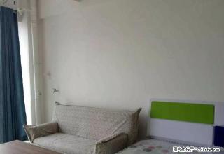 人民路西段 名门尚居 单身公寓 拎包入住 - 鄢陵28生活网 yanling.28life.com