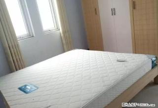 花样年华 2房出租 拎包入住 经济实惠 - 鄢陵28生活网 yanling.28life.com