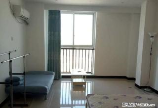 名门尚居 小公寓 一室 拎包入住 - 鄢陵28生活网 yanling.28life.com