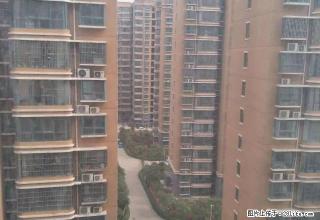 翠柳路北段，中装三房，家具家电齐全，拎包即可入住 - 鄢陵28生活网 yanling.28life.com