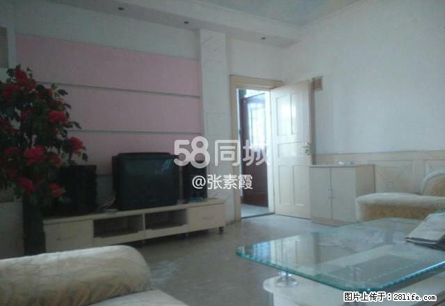 种子公司家属院 3室1厅1卫 - 房屋出租 - 房屋租售 - 鄢陵分类信息 - 鄢陵28生活网 yanling.28life.com