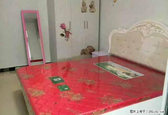 阳光城中装两室两厅一卫拎包入住 - 房屋出租 - 房屋租售 - 鄢陵分类信息 - 鄢陵28生活网 yanling.28life.com