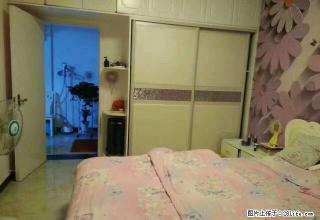 (单间出租)四季花城，电梯12楼，精装修，家电齐全，拎包入住 - 鄢陵28生活网 yanling.28life.com