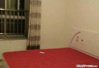 鼓楼广场，家具家电齐全，拎包入住！ - 鄢陵28生活网 yanling.28life.com