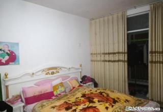 碧翠苑，带家具家电，拎包入住！ - 鄢陵28生活网 yanling.28life.com