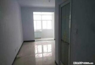 出租 鼓楼广场5楼，有独立卫生间 ，有橱柜 - 鄢陵28生活网 yanling.28life.com