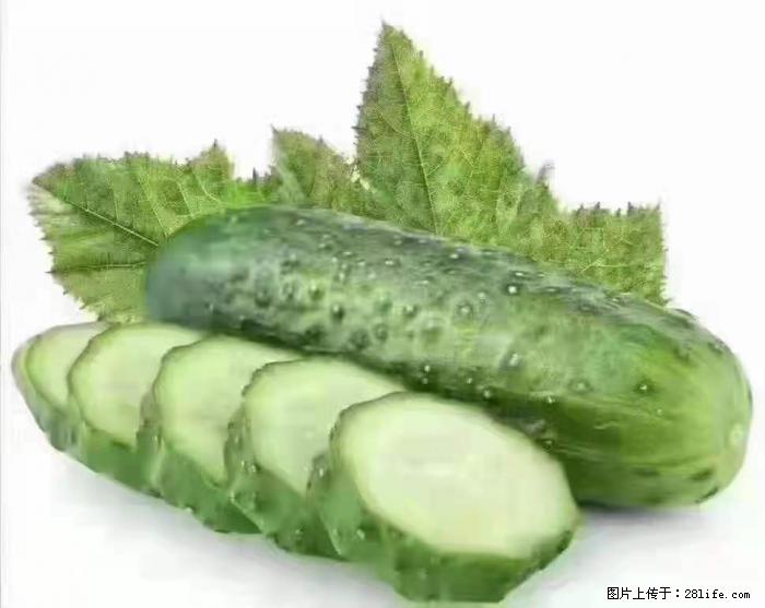 【生活小常识】吃黄瓜的好处 - 生活百科 - 鄢陵生活社区 - 鄢陵28生活网 yanling.28life.com