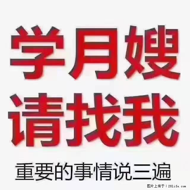 【招聘】月嫂,上海徐汇区 - 职场交流 - 鄢陵生活社区 - 鄢陵28生活网 yanling.28life.com