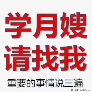 【招聘】月嫂，上海徐汇区 - 鄢陵28生活网 yanling.28life.com