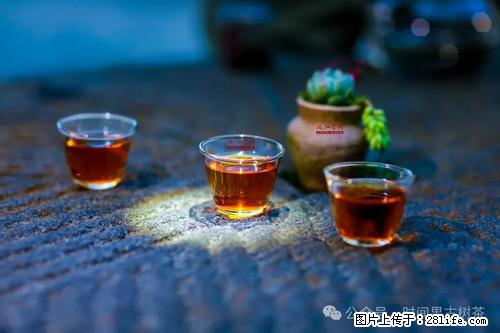 时间果百年古树2025年春红茶 - 购物交流 - 鄢陵生活社区 - 鄢陵28生活网 yanling.28life.com