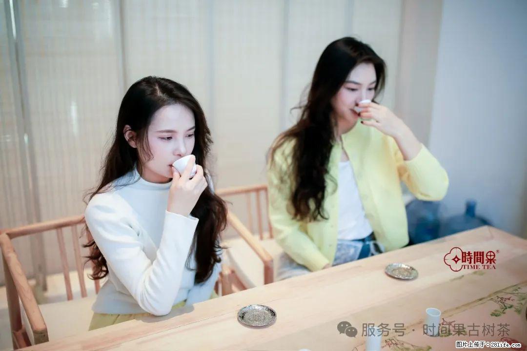 时间果百年古树龙珠普洱生茶 - 购物交流 - 鄢陵生活社区 - 鄢陵28生活网 yanling.28life.com