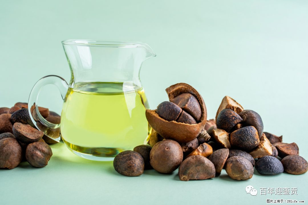 揭秘茶油的5大核心营养成分！被称为人体健康的“守护盾”！ - 鄢陵生活资讯 - 鄢陵28生活网 yanling.28life.com