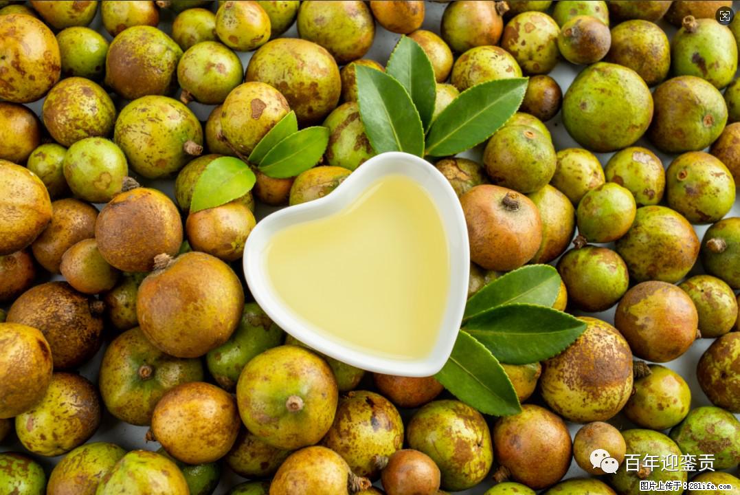 世界没有真相，只有认知，最好的食用油是中国的山茶油！ - 鄢陵生活资讯 - 鄢陵28生活网 yanling.28life.com