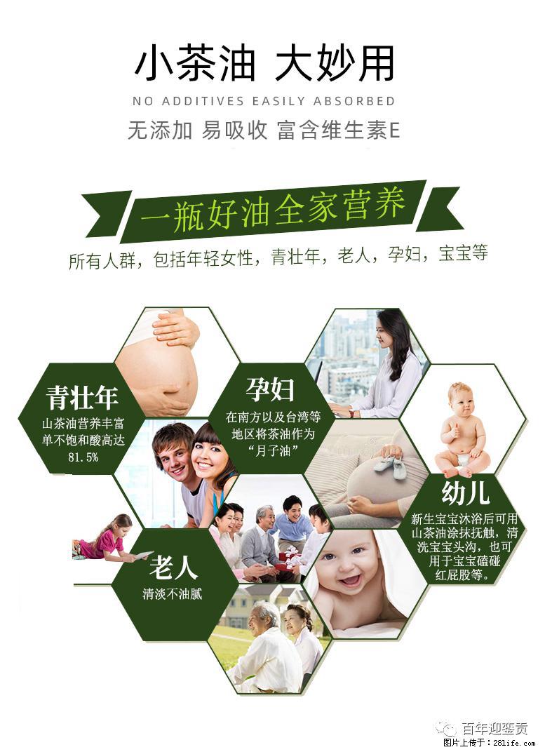 世界没有真相，只有认知，最好的食用油是中国的山茶油！ - 鄢陵生活资讯 - 鄢陵28生活网 yanling.28life.com