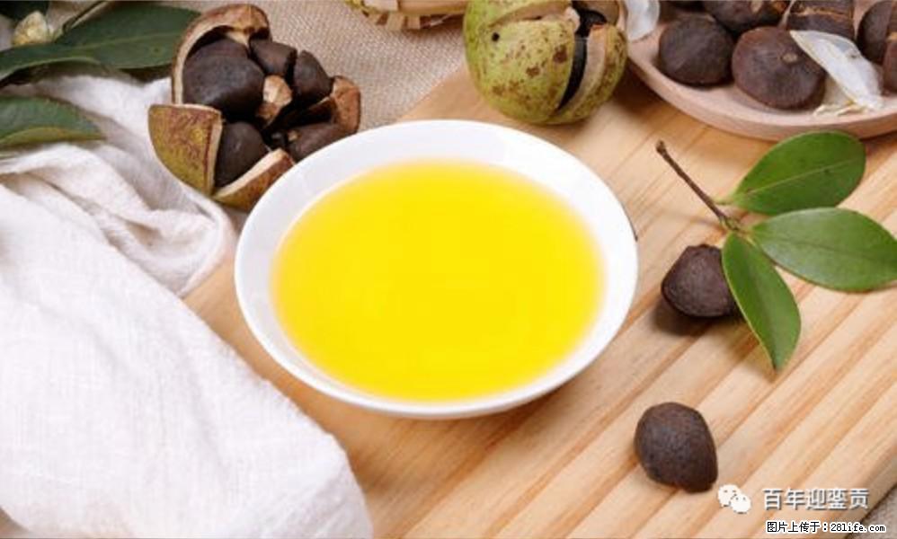 世界没有真相，只有认知，最好的食用油是中国的山茶油！ - 鄢陵生活资讯 - 鄢陵28生活网 yanling.28life.com