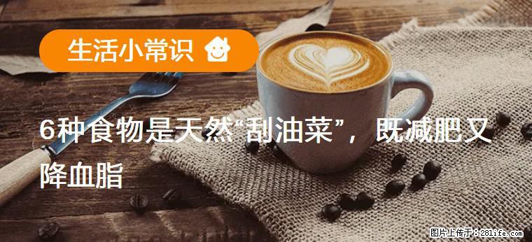 【生活小常识】6种食物是天然“刮油菜”，既减肥又降血脂 - 鄢陵生活资讯 - 鄢陵28生活网 yanling.28life.com