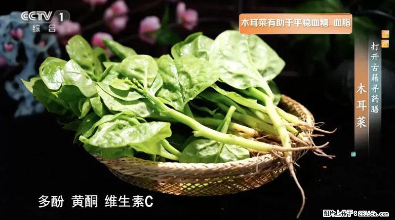 比牛奶补钙还厉害！凉血解毒、稳血糖...这菜冬天必吃，很多人却当草 - 鄢陵生活资讯 - 鄢陵28生活网 yanling.28life.com