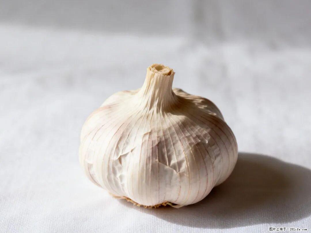 关于大蒜，除了“天然抗生素”，这4个谣言更该警惕! - 鄢陵生活资讯 - 鄢陵28生活网 yanling.28life.com
