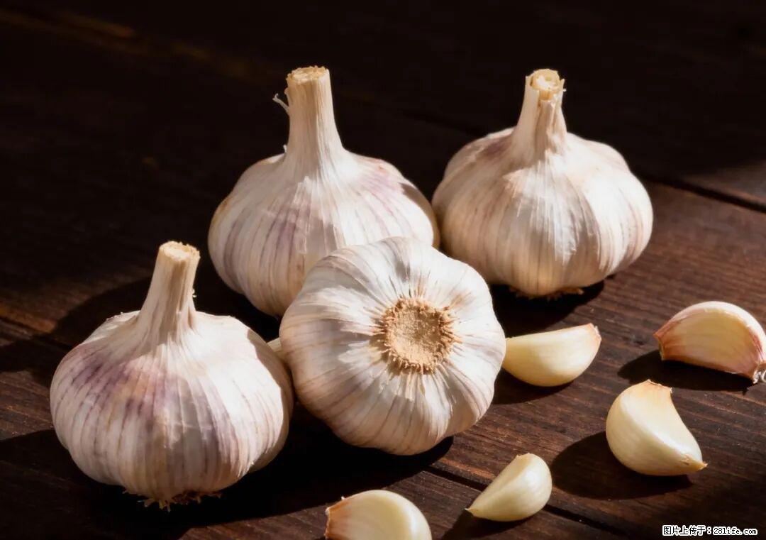 关于大蒜，除了“天然抗生素”，这4个谣言更该警惕! - 鄢陵生活资讯 - 鄢陵28生活网 yanling.28life.com