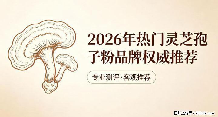 灵芝孢子粉含量越高越有效？2026 年七款热门品牌深度实测，肠胃敏感者避坑指南 - 鄢陵生活资讯 - 鄢陵28生活网 yanling.28life.com